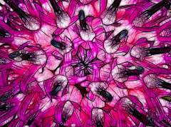 freeimage采集到kaleidoscope