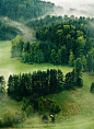 森林雾，捷克共和国 - 你我觅 - niwomi.com