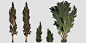 Book of Travels - Selection of assets - Trees
