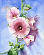 Mallow by GreeGW