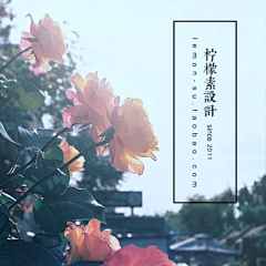 菜菜壮-CAICAI-JOHN采集到排版