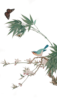 lzlke采集到工笔画素材