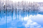 来看看那些日本冬季不可错过的绝美雪景！