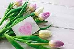 郁金香,春天,背景,情人节,白色,白昼,紫色,妇女问题,贺卡,水彩画