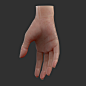 3d realistic female hand rigged