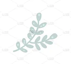 桉树的树枝自然长出树叶。设计师以斯堪的纳维亚风格手绘热带元素。矢量装饰精美优雅的插图