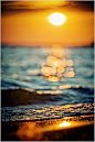 Sunset | Photography#海洋生物