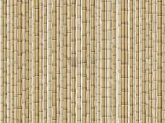 竹子的背景
