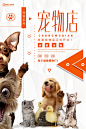 创意宠物店猫咪狗狗宠物美容店铺促销海报宣传单设计素材PSD模版-淘宝网