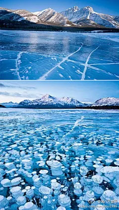 加拿大的迷人冰湖——为了探索奇景，摄影师冒着零下数十度的严寒和狂风，前往加拿大西北部地区，拍摄了这一色彩绚丽、景色壮观的“冰湖”照片，气泡不再是瞬间。他的系列照片也获得了美国国家地理旅行者摄影大奖。