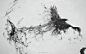 birds black and white dark digital art ravens wallpaper (#2099647) / Wallbase.cc