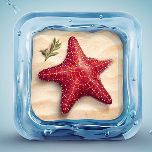 Starfish Icon