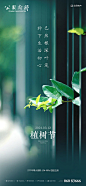 植树节