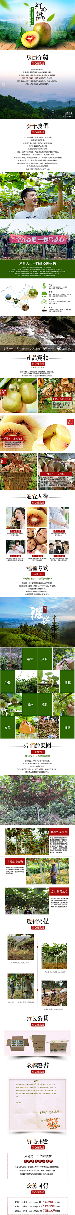 Xl15JdGO采集到淘宝详情