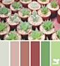 cacti color