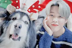 ๑神 仙 收 藏 殿੭₎₎ - 堆糖，美图壁纸兴趣社区