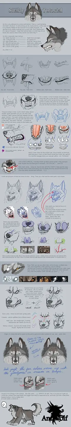 手绘狼的绘画参考~~【推荐课程】从零开始学插画O原画梦官网 ​​​​