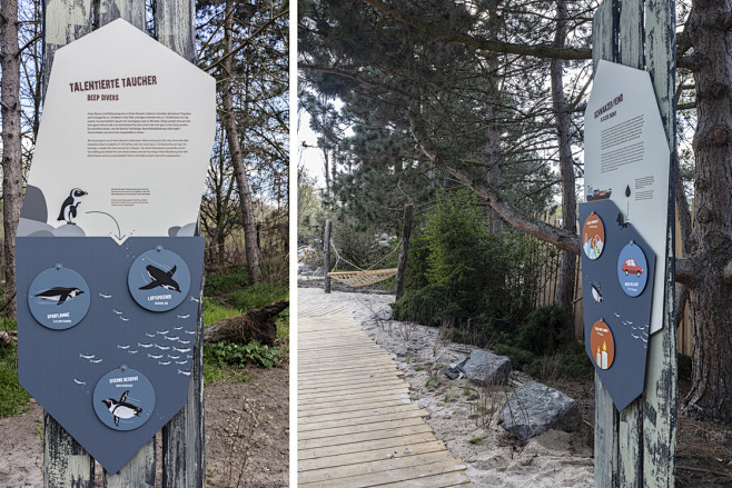 Brillenpinguine – Di...