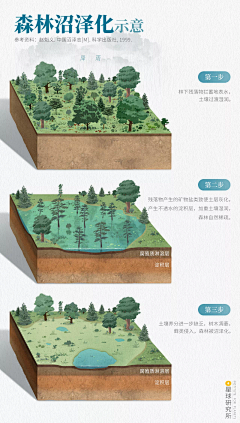 国家二级素材拼接师采集到百科