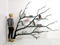 Sebastian Errazuriz设计的分支树形书架和家 生活圈 展示 设计时代网-Powered by thinkdo3