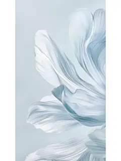 雾霾蓝 I 高级灵动壁纸 - 小红书