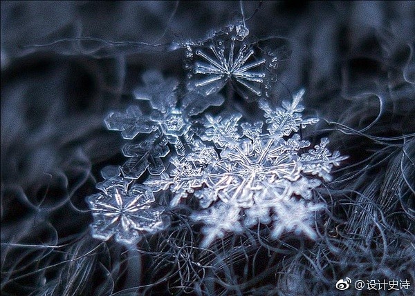 微距雪花
俄罗斯摄影师 Alexey K...