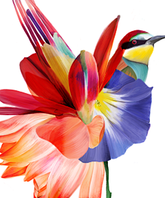 xNFil_嚸嚸采集到BEHANCE