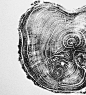 (30) Pinterest