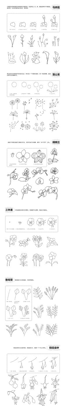 Angela宠児采集到简笔画植物
