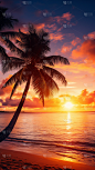 背景通用落日椰子树海边沙滩光影背景图片素材