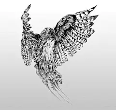 英国插画师 Si Scott 一组充满曲线美感的手绘动物插画作品
