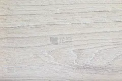 美丽的木树纹理，空白的背景，榆树