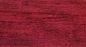 规范名称：紫芯苏木
别名：紫心木 紫罗兰
类别：深色名贵硬木 
科属：苏木科苏木属 
产地：南美洲
拉丁名： Peltogyne  
颜色：外皮黑褐色,内皮玫瑰红色。 
纹理：纹理通常直，有波状或交错 
气味：无特殊气味
气干密度：0.80-1.00g/cm³ 
油脂含量：中
2014年市场原材料情况：35-45cm
家具平均出材率：28-35%
优点：
①强度高、硬度大、耐腐蚀性强，抗虫性强，结构细，略均匀，纹理直或交错。   
②木材强度高，质重硬，耐腐抗白蚁虫害。
缺