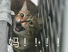 当你妈微信经常不理你时，你可以发一发这个！！！ 图一还有更多表情包~ ​​​​