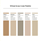 Wheat Grass Color Palette麦草调色板莫兰迪色卡