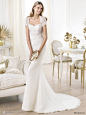 Pronovias 2013-2014 婚纱礼服系列