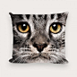个性写真猫咪沙发方形抱枕 1号咪 #喵星人# #猫# #萌#