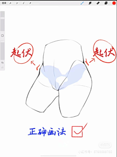 不是我也是我采集到人体结构
