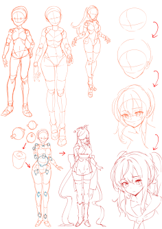 人设人体结构人体比例