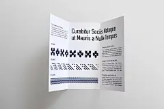 黑色字白色宣传册三折页样机