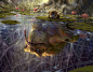 MTG: Visions of Dominance, Andrew Mar : MTG: Innistrad Midnight Hunt
AD: Ovidio Cartagena