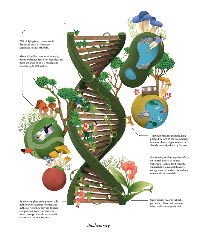 Nature and Us : .
