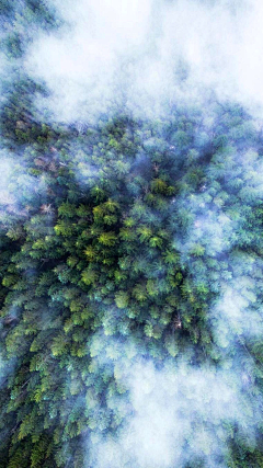 请叫我设计航采集到风景