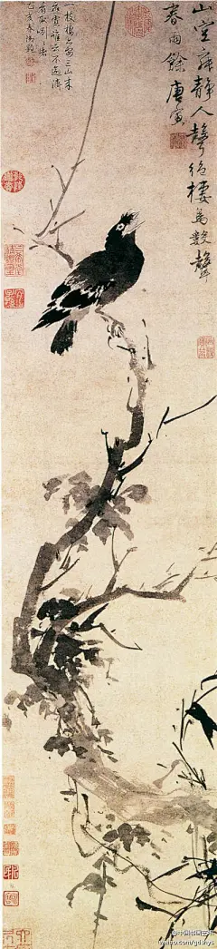中国书画艺术#国画# 明 唐寅《春雨鸣禽图》--- 画中以大笔没骨涂染，塑造了一只栖息枝头、昂首鸣春的鹤鹆的优美形象，神态活灵活现，呼之欲出。树身以飞白写出，盘藤则用水墨阔笔。整体画面错落有致，神韵飞扬，是唐伯虎的一件代表作品。