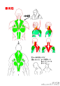 #绘画学习# 【 漫画原型，男性肌肉的绘制教程】参考学习！作者：xylo