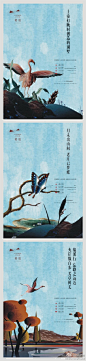 转发微博
