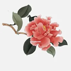 中国风手绘牡丹花图片大小2000x2000px 图片尺寸1.96 MB 来自PNG搜索网 pngss.com 免费免扣png素材下载！春暖花开#古风#红色#节日装饰#卡通手绘#腊梅#牡丹#年味#水墨#喜庆#一朵牡丹花#中国风#