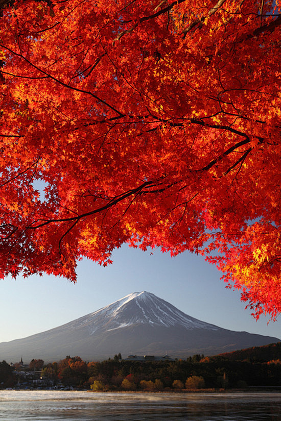 心灵之声 曲名《富士山下》 爱情不停站，...