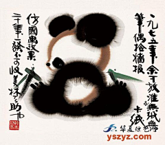 loud_silence采集到憨憨的国宝 —— 大熊猫