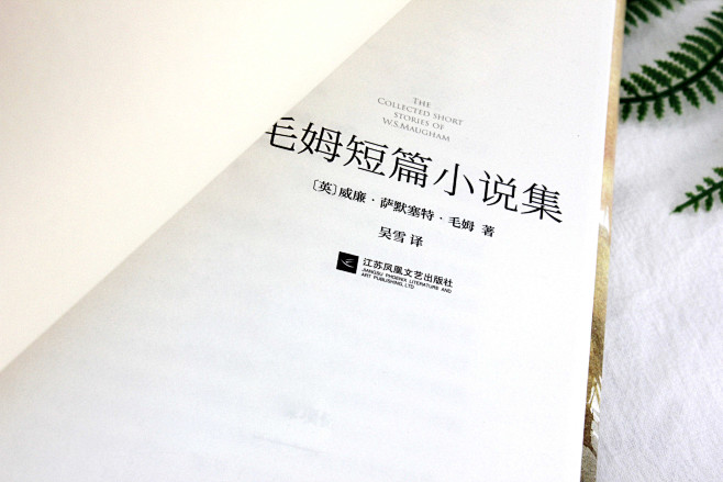 环衬展示